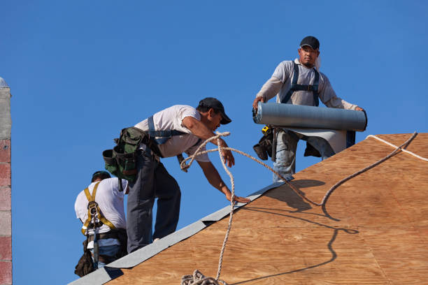 Best New Roof Installation  in Payne, OH